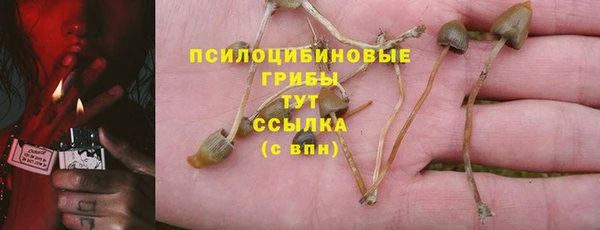 PSILOCYBIN Осташков