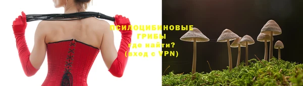 сатива Абаза