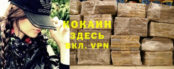 spice Олёкминск