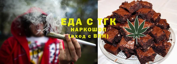 индика Алзамай
